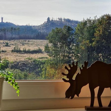 Ferienwohnungen Hexenstieg & Wurmbergblick Schierke Exteriör bild