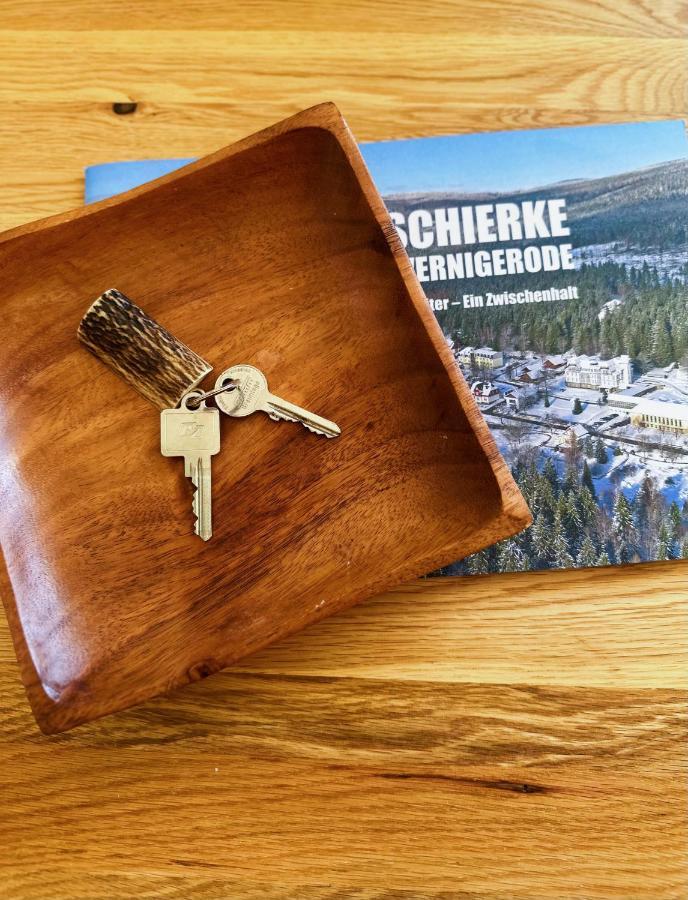 Ferienwohnungen Hexenstieg & Wurmbergblick Schierke Exteriör bild