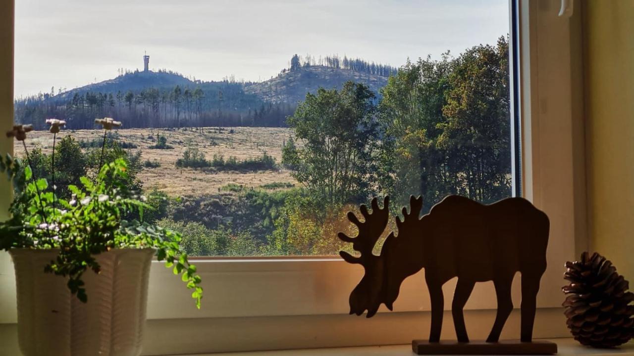Ferienwohnungen Hexenstieg & Wurmbergblick Schierke Exteriör bild