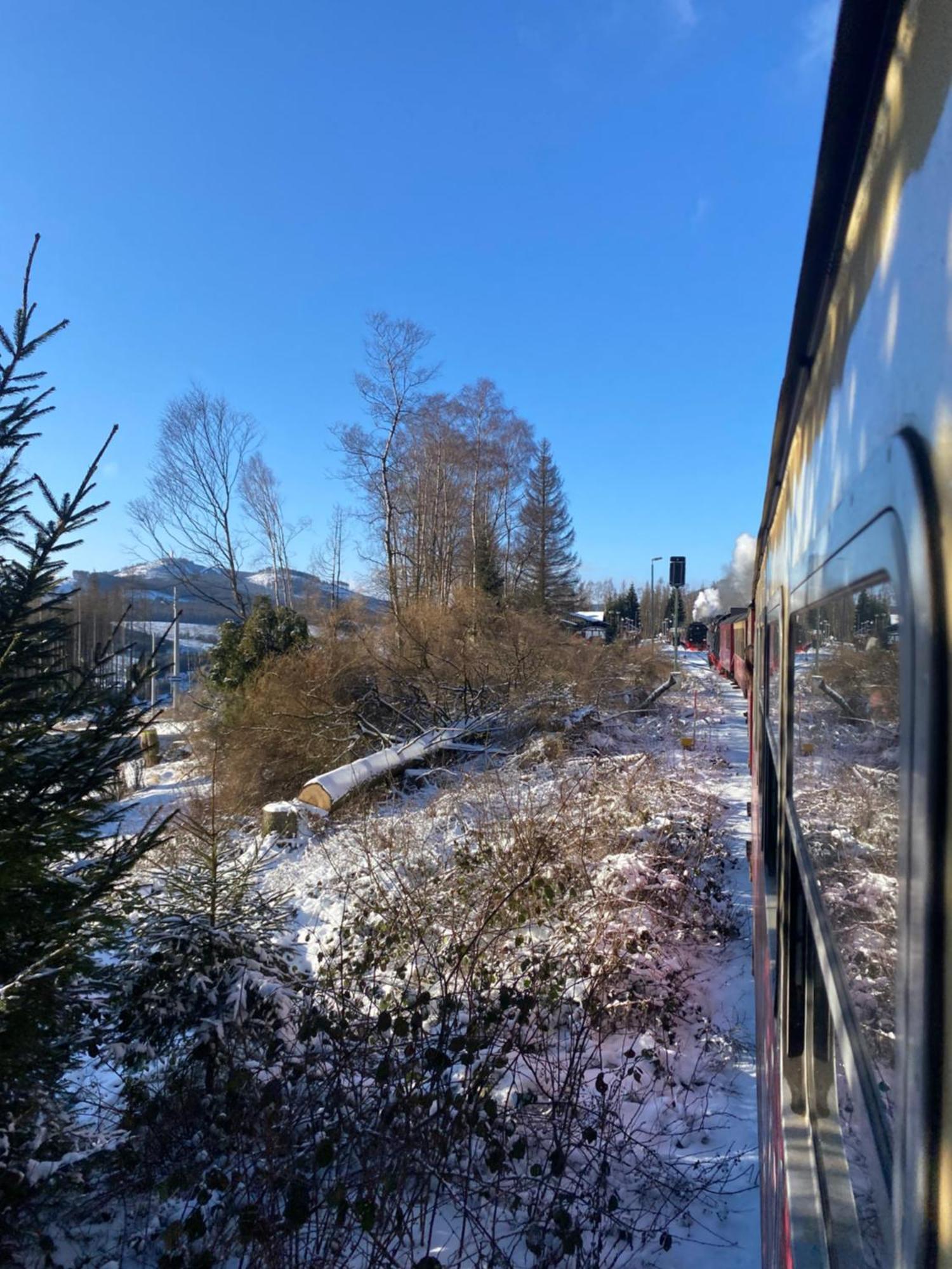 Ferienwohnungen Hexenstieg & Wurmbergblick Schierke Exteriör bild